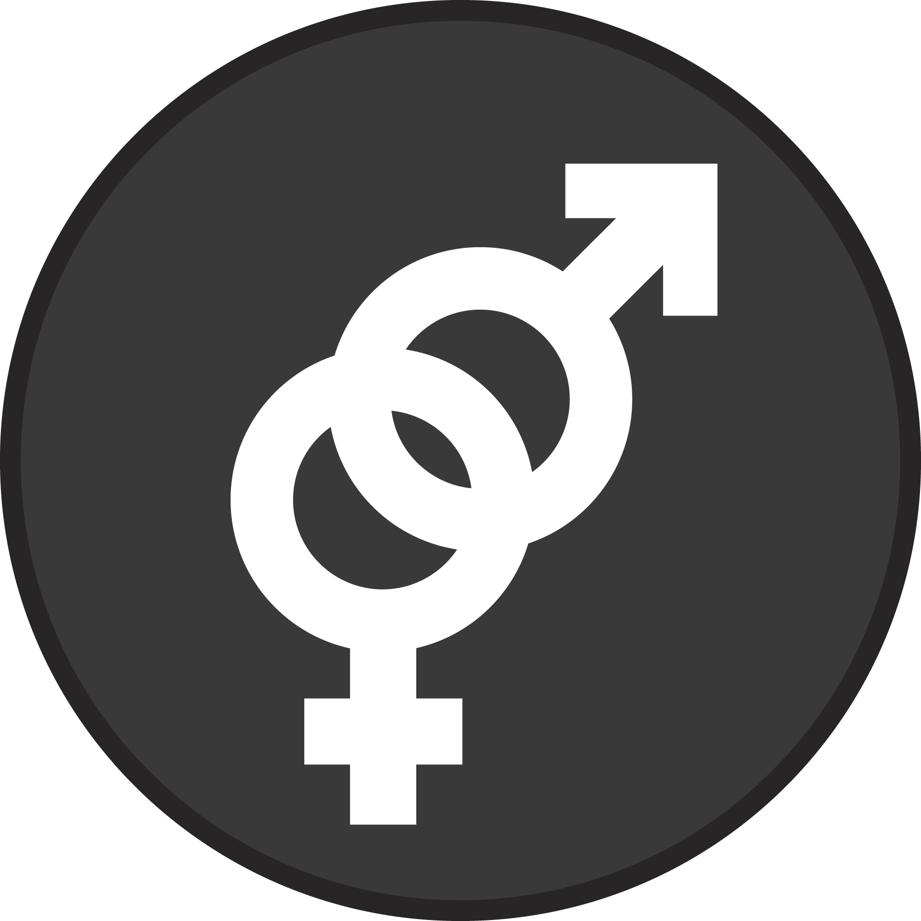 Seksiä